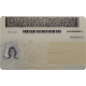 New York CDL New York CDL